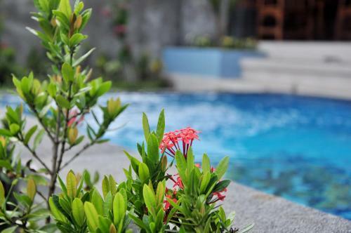 Albergue The Gradina Canggu