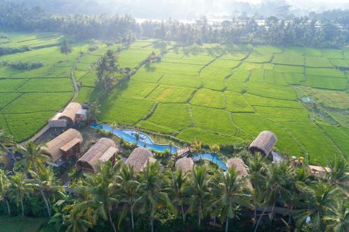 Villa Beehouse Dijiwa Ubud