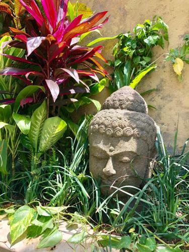 Dream Villa Carissa Seminyak Centre