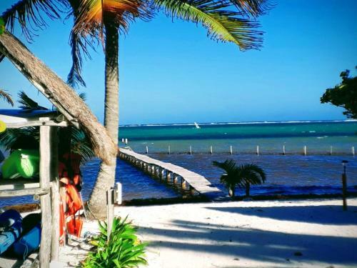 Bed & Breakfast Casa Para�so