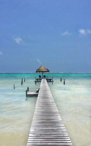 Bed & Breakfast Casa Para�so