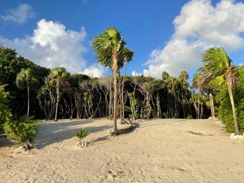 Villa Sol Y Arena Xcalak