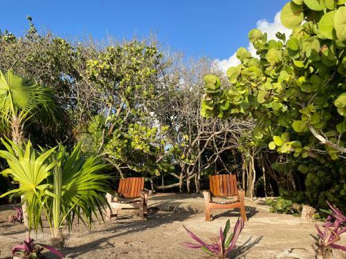 Villa Sol Y Arena Xcalak