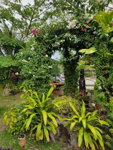 Posada Ixchel