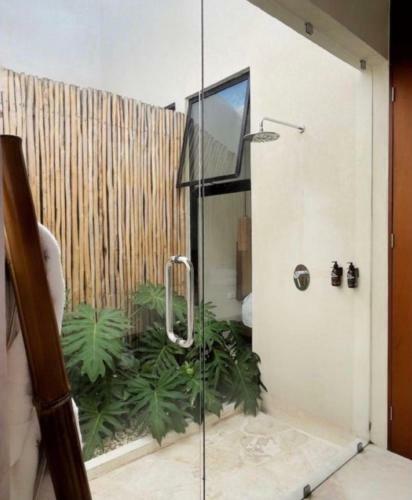Bed & Breakfast Pi�a Coloradas Ecolodge