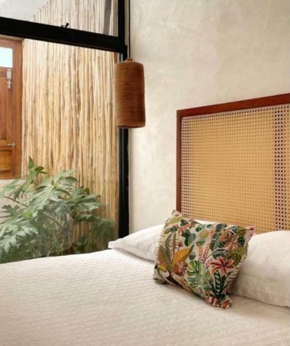 Bed & Breakfast Pi�a Coloradas Ecolodge