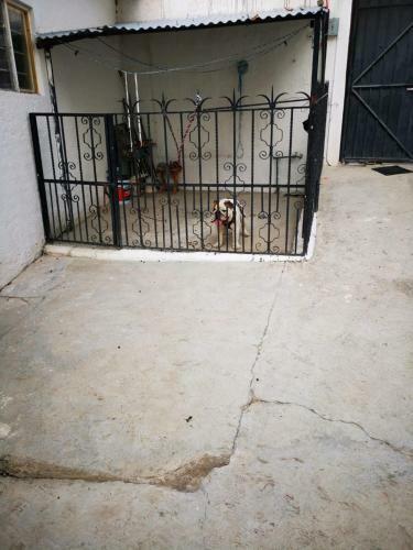 Hermosa Casa Con Alberca, Quinta Yautepec
