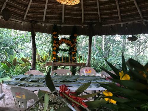 Vereda Surreal Xilitla