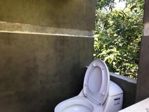 Vereda Surreal Xilitla