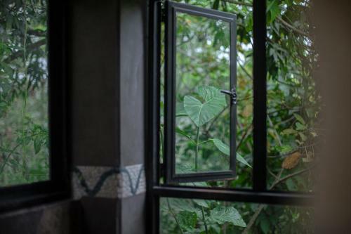 Vereda Surreal Xilitla