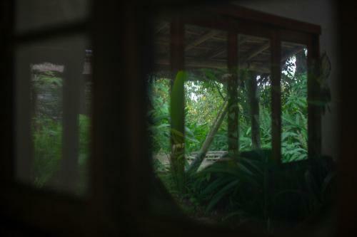 Vereda Surreal Xilitla