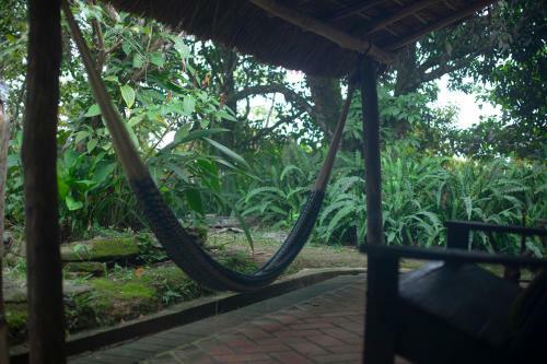Vereda Surreal Xilitla