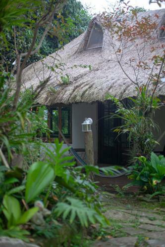 Vereda Surreal Xilitla