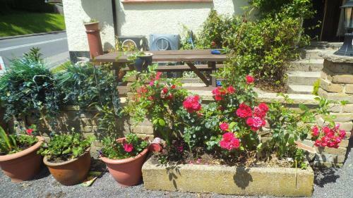 Posada Englands Rose