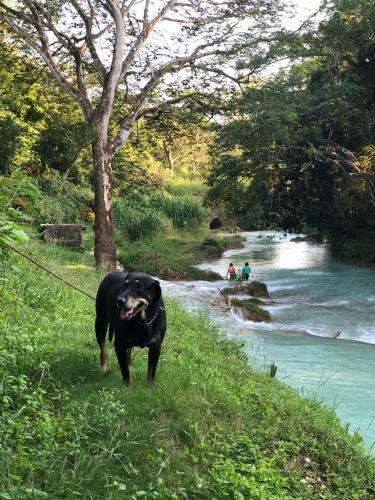 Caba�a Dc Tamasopo
