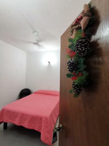 Albergue Casa Bahia Estudios
