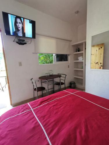 Apartamento Casa Bahia Suite 1
