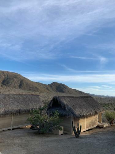Hotel Caba�as 33 1/3 Room C