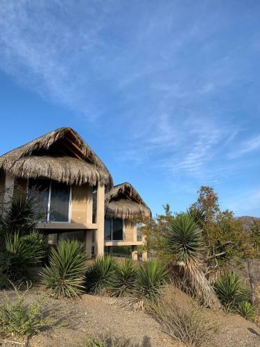 Hotel Caba�as 33 1/3 Room C