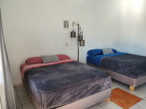 Posada Sleep-surf-skate Bcs