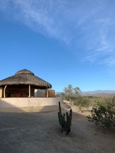 Hotel Caba�as 33 1/3 Room A