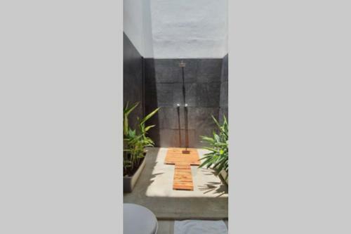 Apartamento Alejandra En Jungla Zipolite