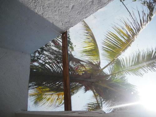 Posada Quinta Feliz