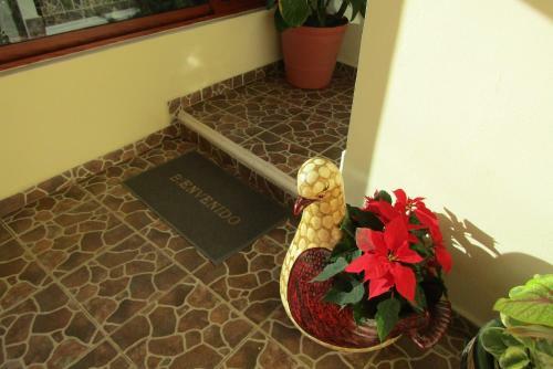 Hotel Nicte-ha