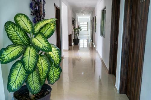 Hotel Casa Mar�n
