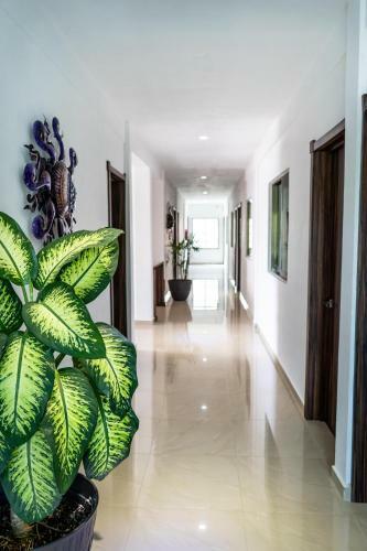 Hotel Casa Mar�n