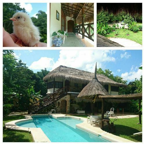 Bed & Breakfast Casa Tania Lodge