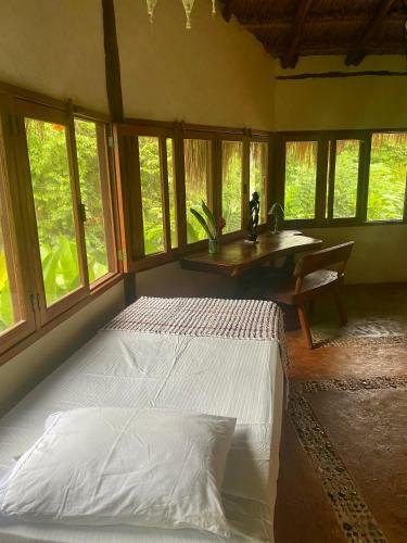 Bed & Breakfast Casa Tania Lodge