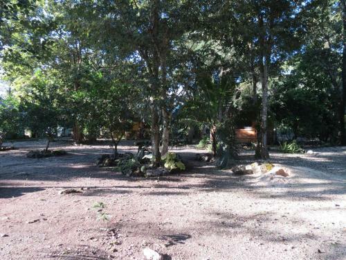Lodge Caba�as Calakmul