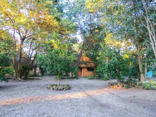 Lodge Caba�as Calakmul