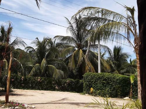 Posada Caba�as Jaysur