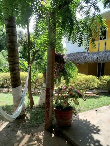 3 Br Apartment 300 Mts From The Beach In La Punta Zicatela