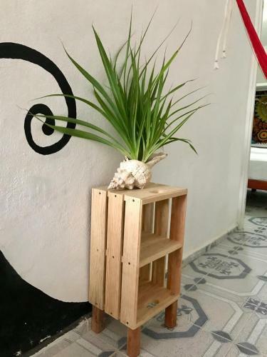 Apartamento Estudios Rehilete