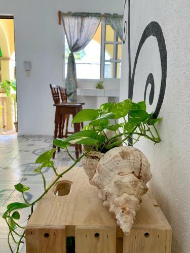 Apartamento Estudios Rehilete
