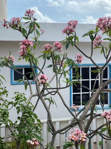 Apartamento Estudios Rehilete