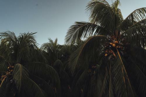 Hotel Casa Peregrino Holbox
