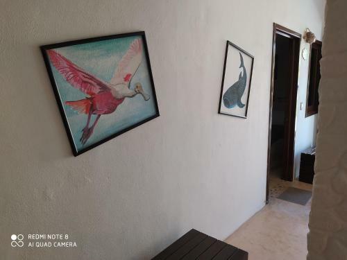 Apartamento Casa Ohana-disfruta Del Paraiso