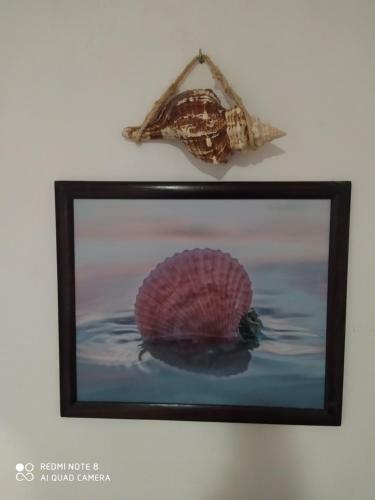 Apartamento Casa Ohana-disfruta Del Paraiso