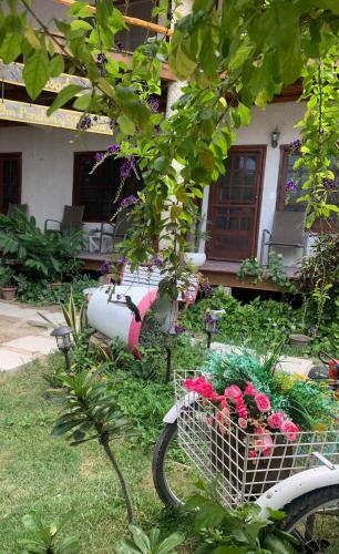 Hotel Don Panchon Y Maruxa
