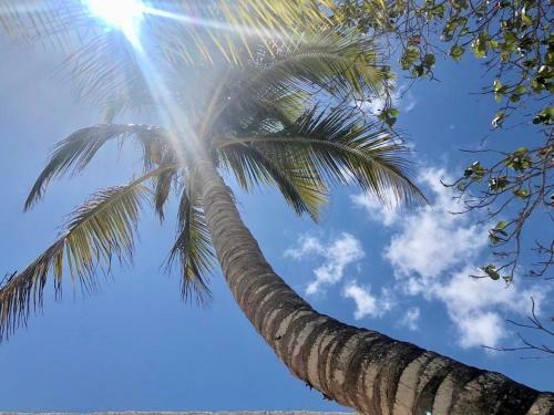Madre Holbox Apartments & Suites