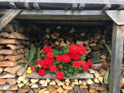 G�stehaus Dullnig