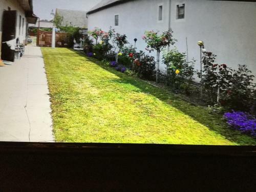 Apartamento Ferienwohnung Casa Flora