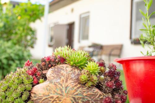 Apartamento Ferienwohnung Casa Flora