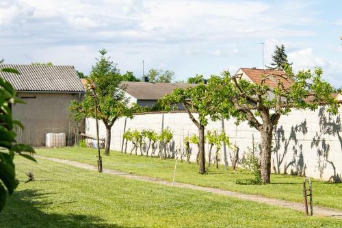 Apartamento Ferienwohnung Casa Flora