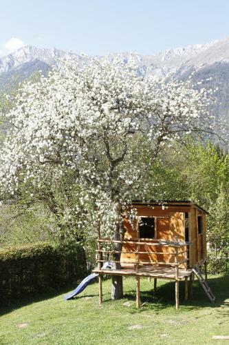 Apartamento Haus Seewald