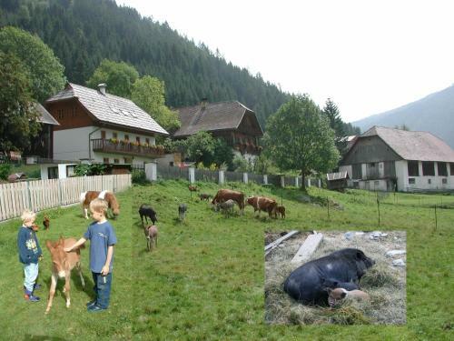 Agroturismo Hof Wieser